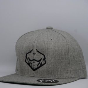 Meso Old school Solid Grey Hat